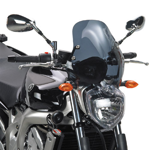 Givi 140D     Yamaha FZ6  (2004 - 2006)?